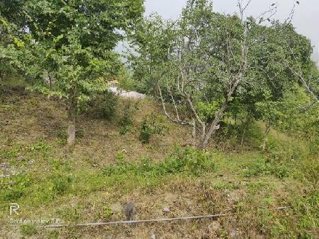Agricultural/Farm Land for Sale in Bhimtal, Nainital (2550 Sq. Yards)