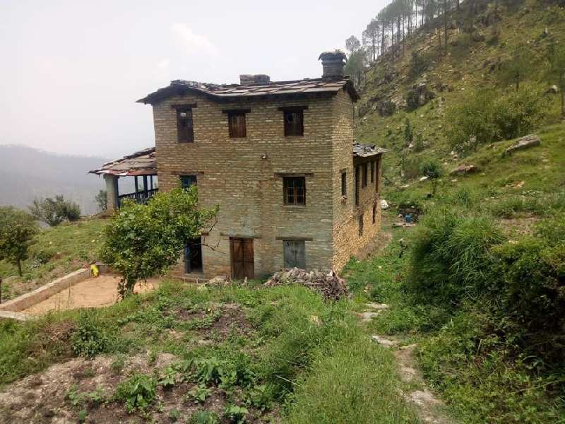 58800 Sq. Yards Agricultural/Farm Land for Sale in Kausani, Bageshwar