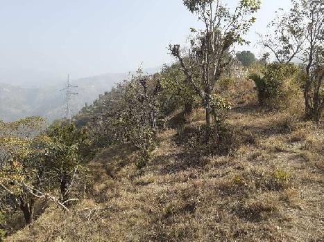 4800 Sq. Yards Agricultural/Farm Land for Sale in Narendra, Tehri Garhwal