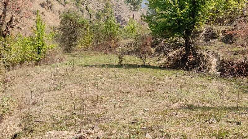 96000 Sq. Yards Agricultural/Farm Land for Sale in Almora