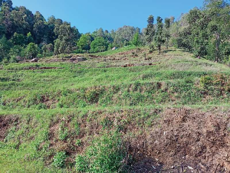 9600 Sq. Yards Agricultural/Farm Land for Sale in Kausani, Almora