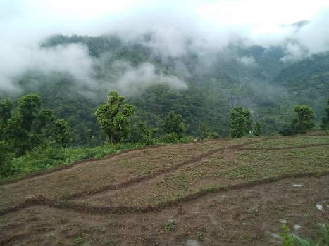 12 Bigha Agricultural/Farm Land for Sale in Pauri, Pauri Garhwal