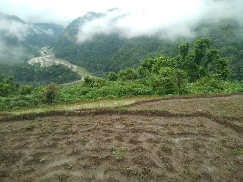 12 Bigha Agricultural/Farm Land for Sale in Pauri, Pauri Garhwal