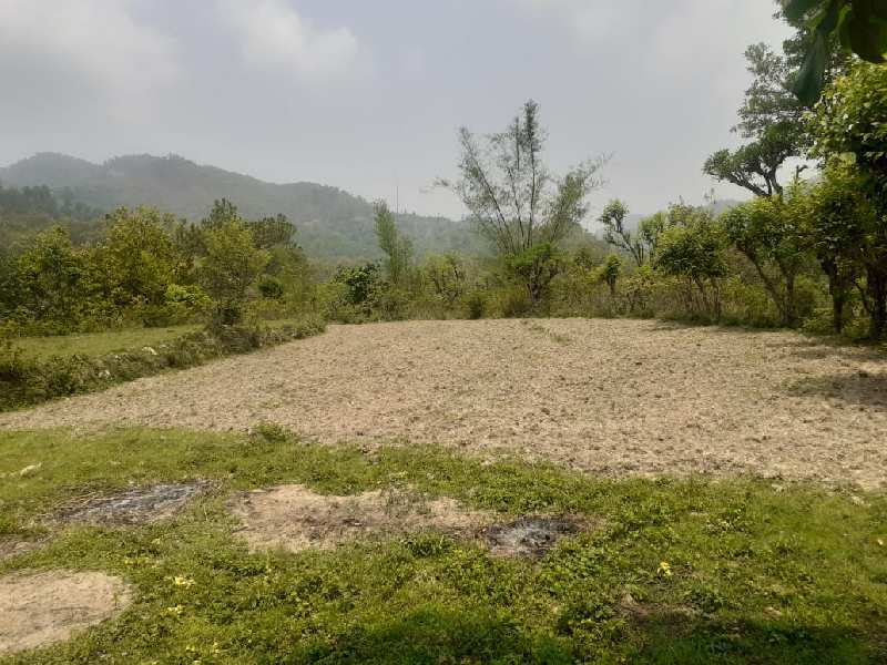 960 Sq. Yards Agricultural/Farm Land for Sale in Yamkeshwar, Pauri Garhwal