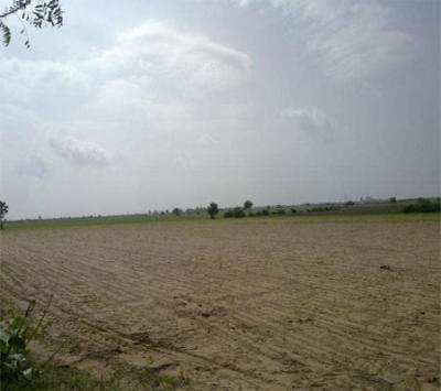 20 Acre Industrial Land / Plot for Sale in Sanand, Ahmedabad
