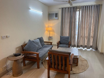 3 BHK Fully furnished apartment for rent in dlf phase 5