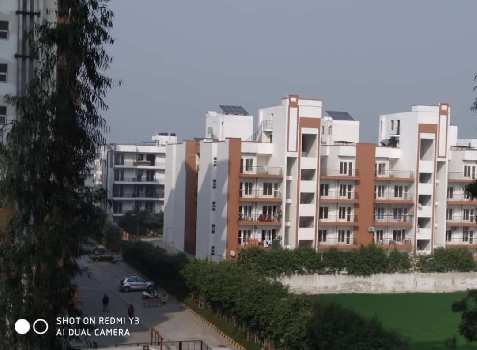 5 BHK Builder Floor for Sale in Sector 14, Bahadurgarh (2635 Sq.ft.)