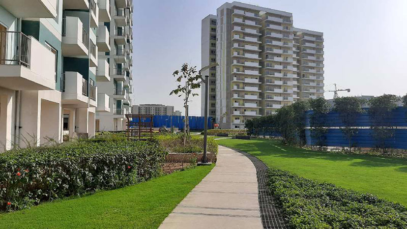 3 BHK Flats & Apartments for Sale in Sector 37, Bahadurgarh (1535 Sq.ft.)