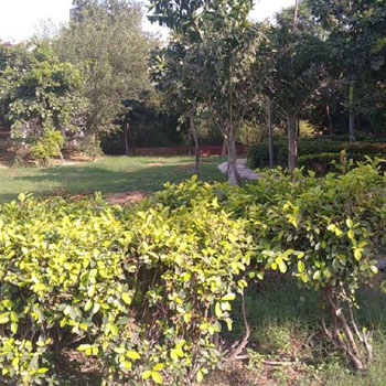 Property for sale in Sector 15 Bahadurgarh