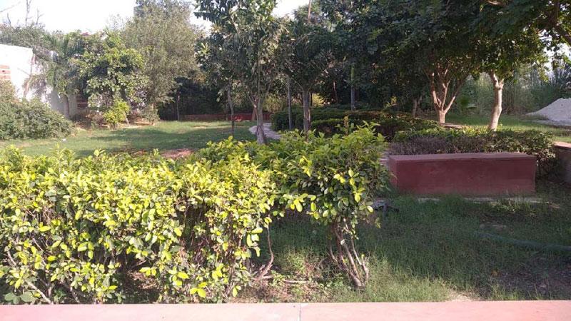 538 Sq. Yards Residential Plot for Sale in Sector 15, Bahadurgarh