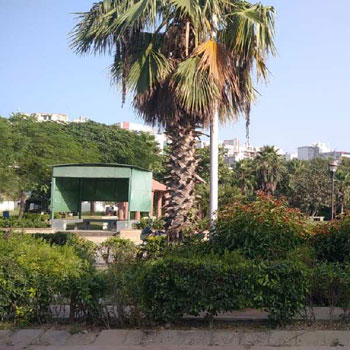 Property for sale in Sector 15 Bahadurgarh