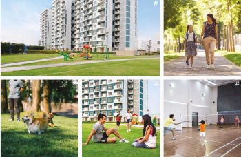 Property for sale in Sector 37 Bahadurgarh
