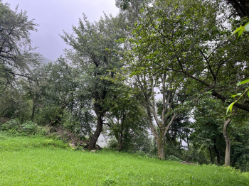 Property for sale in Yol Cantt, Dharamsala