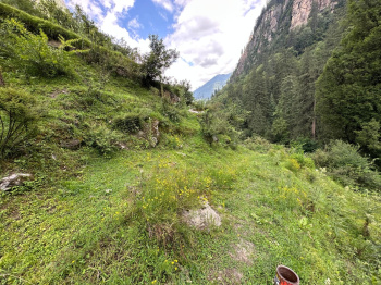 Property for sale in Kasol, Kullu