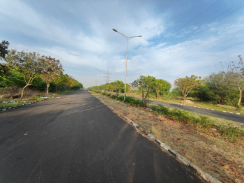 2 Acre Commercial Lands /Inst. Land for Sale in Aerocity, Mohali