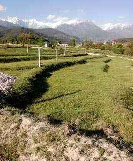Property for sale in Chohla, Dharamshala