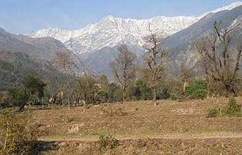 Commercial Land For Sale In Dharamshala