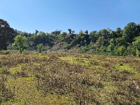 384 Sq. Meter Agricultural/Farm Land for Sale in Shahpur, Kangra