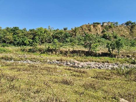 384 Sq. Meter Agricultural/Farm Land for Sale in Shahpur, Kangra