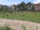 Commercial Lands /Inst. Land for Sale in Yercaud, Salem