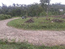 Commercial Lands /Inst. Land for Sale in Yercaud, Salem