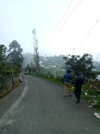 23108 Sq.ft. Agricultural/Farm Land for Sale in Kodaikanal