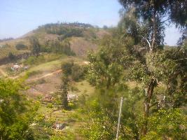 23108 Sq.ft. Agricultural/Farm Land for Sale in Kodaikanal