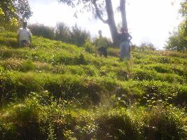 23108 Sq.ft. Agricultural/Farm Land for Sale in Kodaikanal