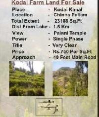 23108 Sq.ft. Agricultural/Farm Land for Sale in Kodaikanal