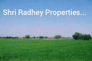 Industrial land avilable for sale in gt karnal road Gannaur sonipat haryana