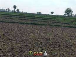 Industrial Land / Plot for Sale in Murthal, Sonipat (2827 Sq. Yards)