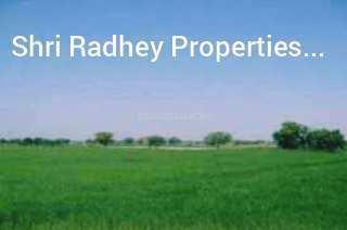 10 Acre Industrial Land / Plot for Sale in Ganaur, Sonipat