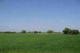 Industrial land available for sell in Kharkhoda sonipat