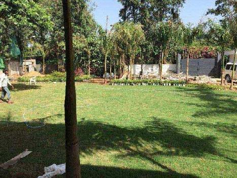 Residential Plot for Sale in Chattarpur, Delhi (522 Sq. Yards)