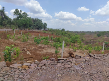Agricultural/Farm Land for Sale in Murbad, Thane (20 Guntha)
