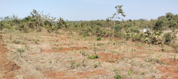 Residential Plot for Sale in Shahapur, Thane (20 Guntha)