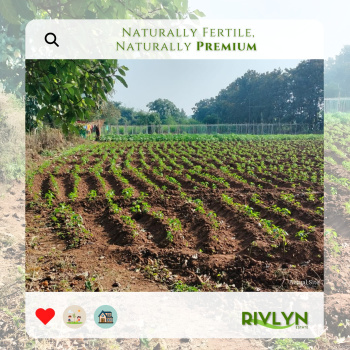 Rivlyn Estate – Premium Riverfront Farmhouse Plots