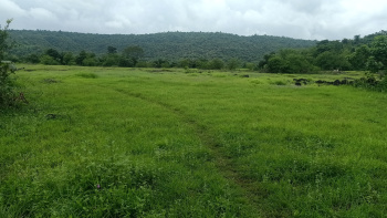 Land for Sale in Mangaon, Raigad