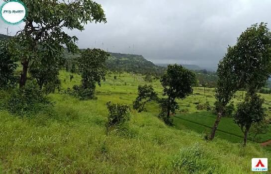 20000 Sq.ft. Agricultural/Farm Land for Sale in Patan, Satara