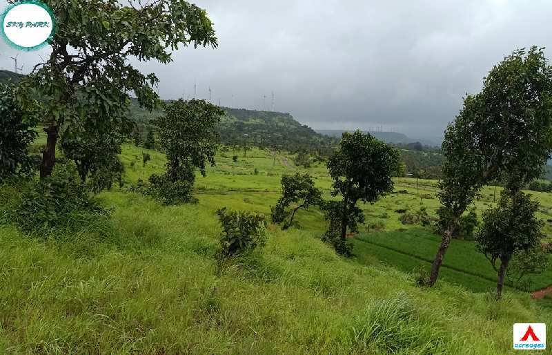 20000 Sq.ft. Agricultural/Farm Land For Sale In Patan, Satara