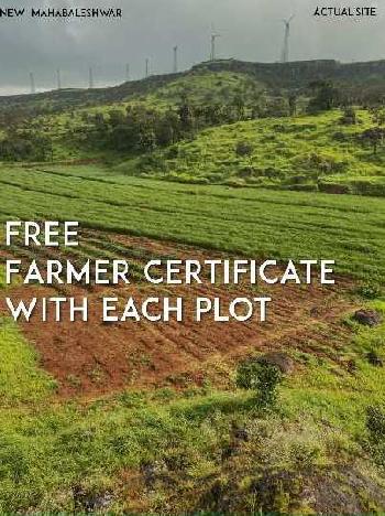 20000 Sq.ft. Agricultural/Farm Land for Sale in Patan, Satara