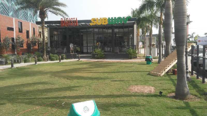 200 Sq. Yards Residential Plot for Sale in Banur, Mohali