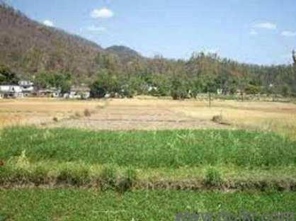 Residential Land For Sale at Shimla , HP