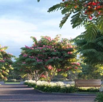 Residential Plot for Sale in Pudupakkam Village, Chennai (6.96 Acre)