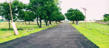 14.54 Acre Residential Plot for Sale in Thiruvalangadu, Chennai