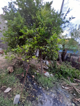 Residential Plot for Sale in Kattupakkam, Chennai (1800 Sq.ft.)