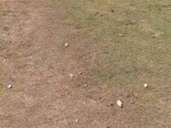 Plot at Iyyapanthangal ( PROP10213 )