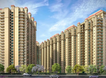 Flats & Apartments for Sale in 66 Feet Road 66 Feet Road, Jalandhar (2800 Sq.ft.)
