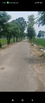 17 Acre Agricultural/Farm Land for Sale in Nangal Purdil, Jalandhar