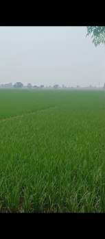 Property for sale in Nangal Purdil, Jalandhar